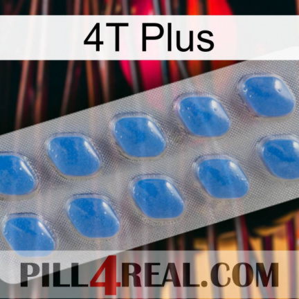 4T Plus 22